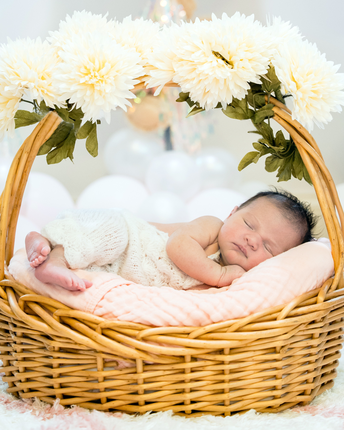 newborn in basket portrait photography